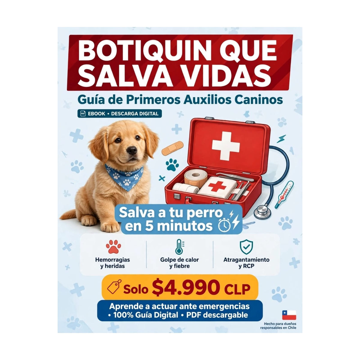 BOTIQUÍN DE PRIMEROS AUXILIOS - E-book Digital PDF